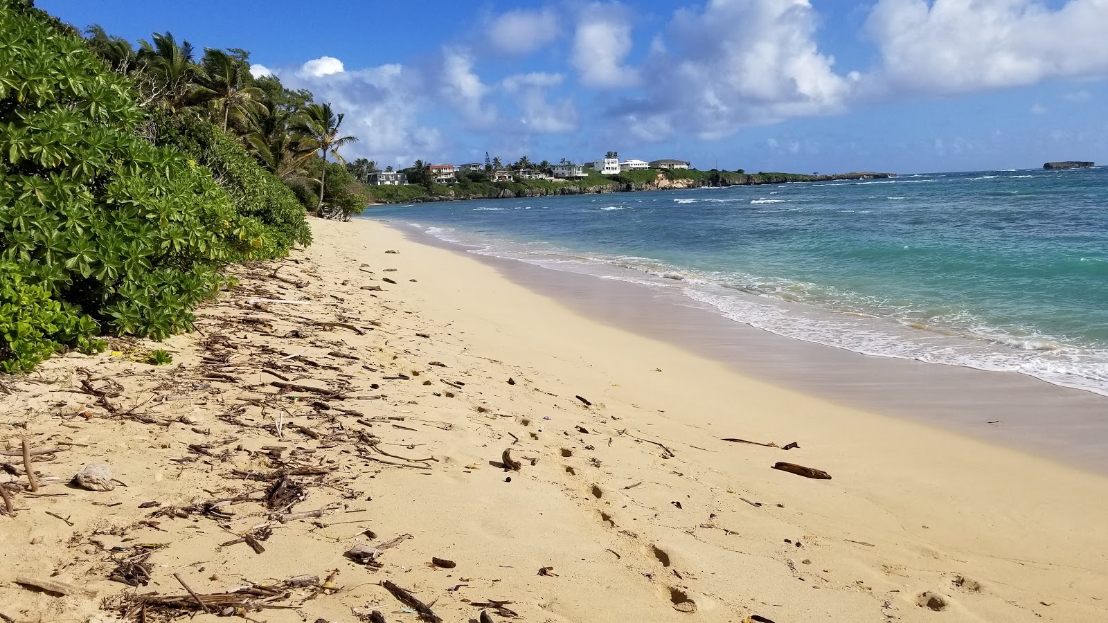 Foto av Laniloa Beach med hög nivå av renlighet