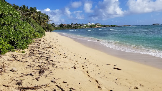 Laniloa Beach