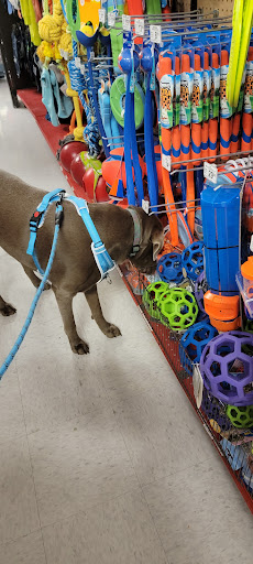 Pet Supply Store «Petco Animal Supplies», reviews and photos, 6425 Keizer Station Blvd, Keizer, OR 97303, USA