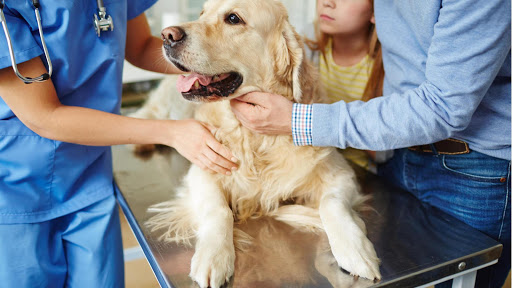 2215 E Madison St, Seattle, WA 98112, USA