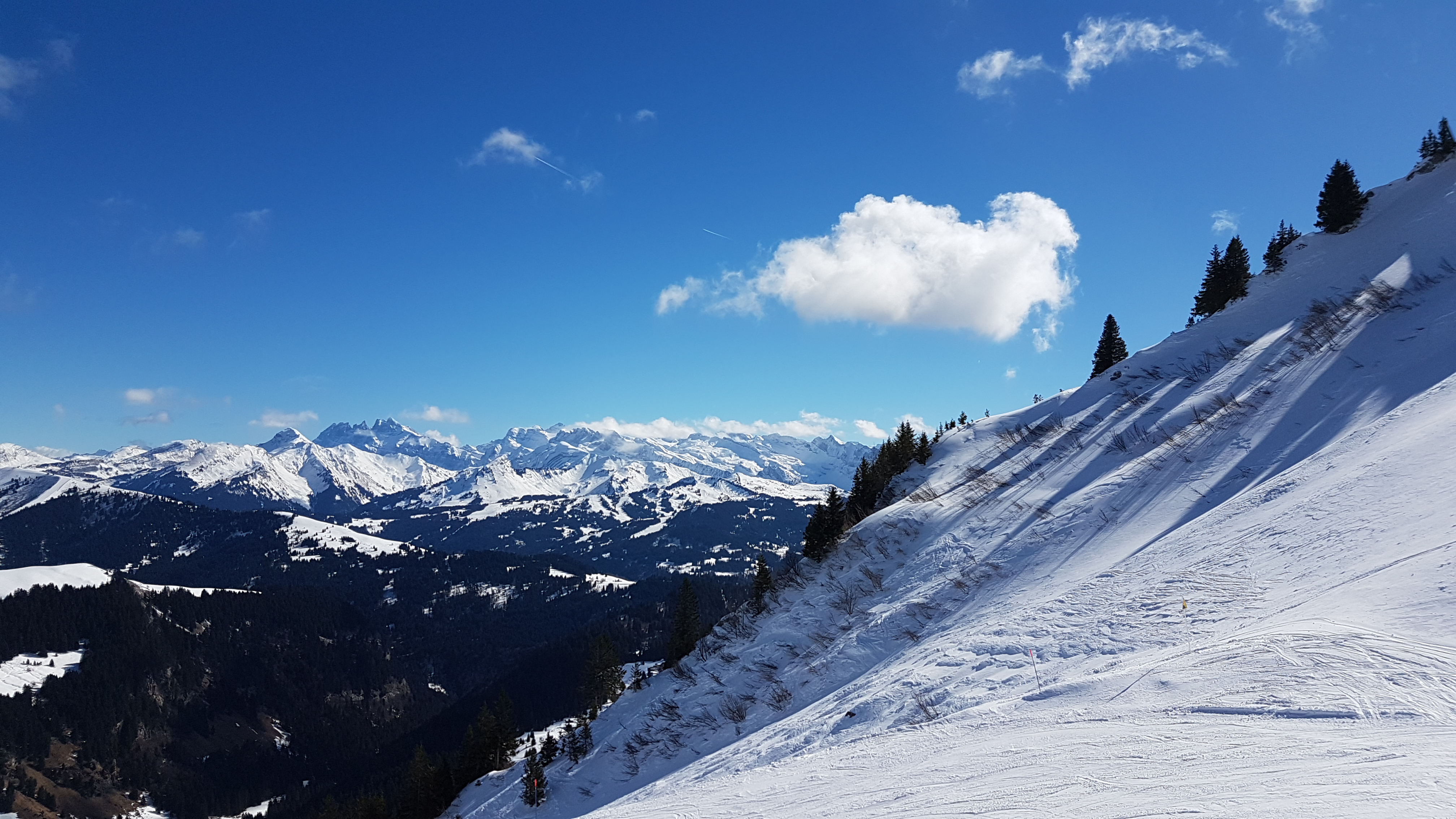 Photo n° 17 de l'avis de Myriam.o fait le 06/03/2019 à 16:33