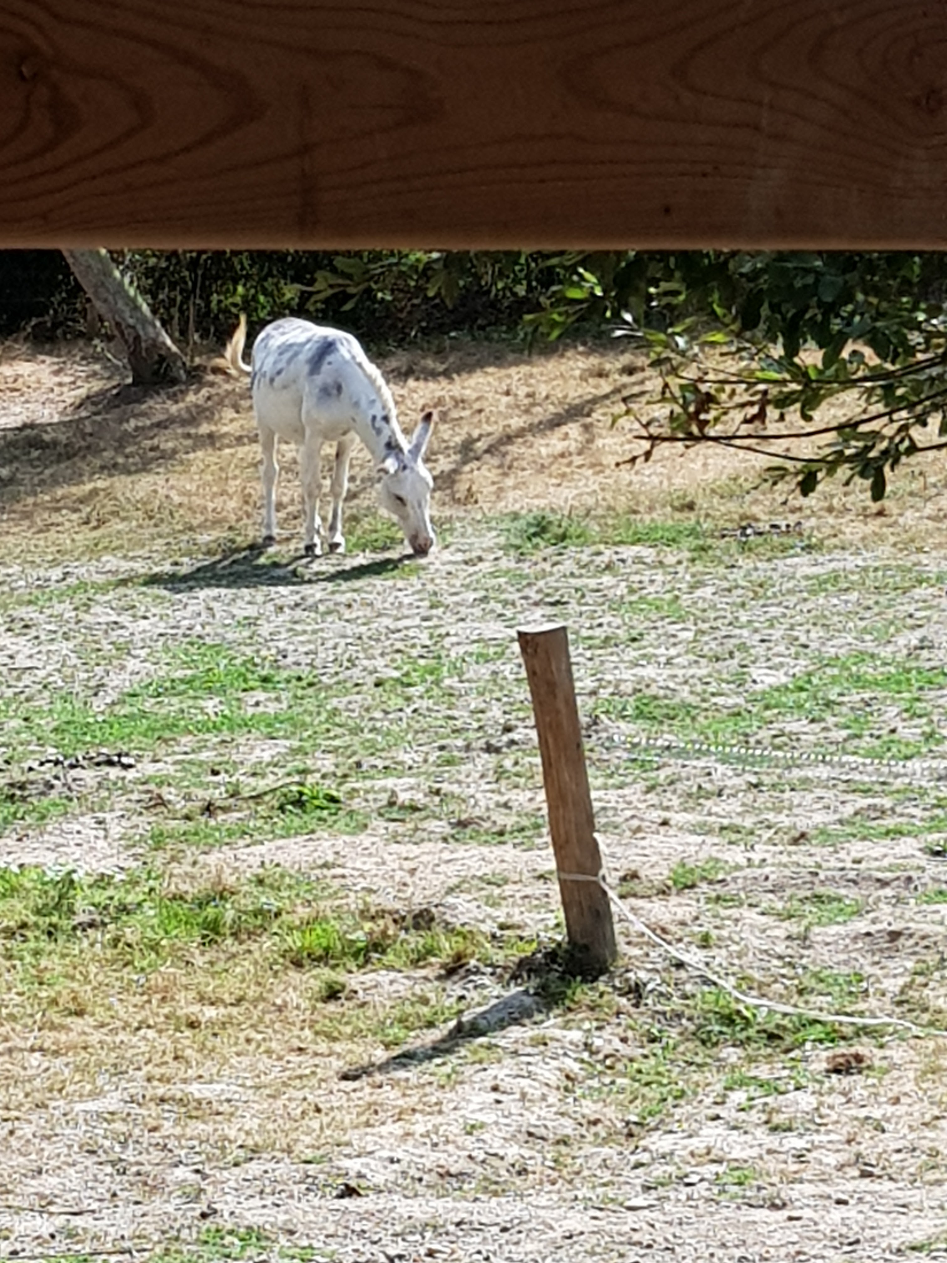 Photo n° 5 de l'avis de virginie.a fait le 27/08/2018 à 16:20