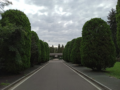 Cimitero Comunale Viale Rimembranze, 20816 Ceriano Laghetto MB, Italia