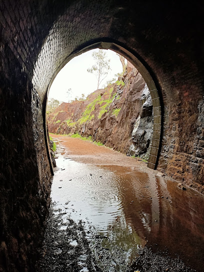 Swan View Tunnel