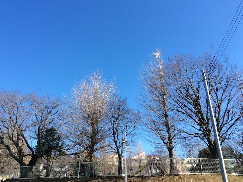 国分寺台第三児童公園