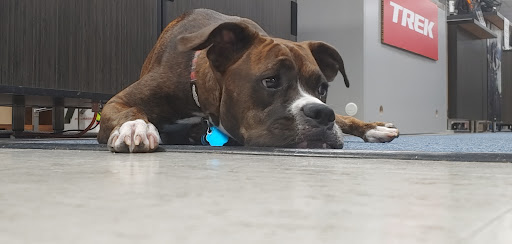 Bicycle Store «Trek Bicycle Store Greensboro», reviews and photos, 1209 Battleground Ave, Greensboro, NC 27408, USA