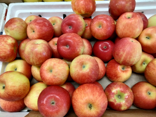 Produce Market «Sun Valley Farms Market», reviews and photos, 2380 NE Coachman Rd, Clearwater, FL 33765, USA