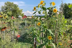 Stony Kill Farm Environmental Education Center image