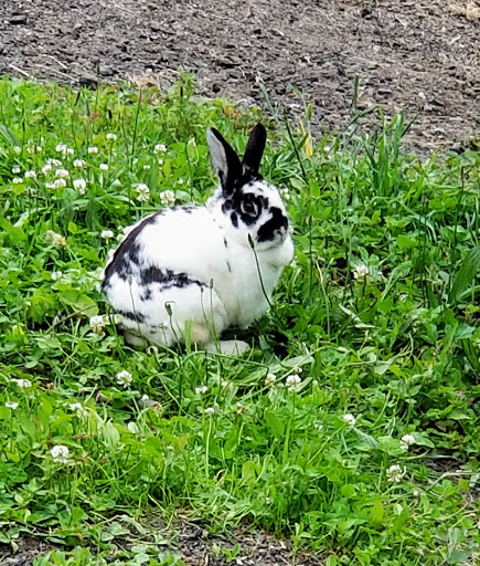 Farm «B & B Flower Farm», reviews and photos, 668 Jones Hill Rd, West Haven, CT 06516, USA