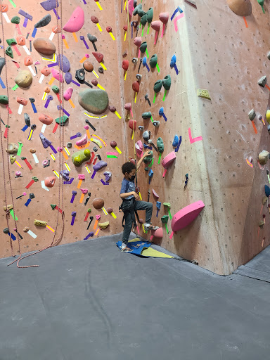 Rock Climbing Gym «Rocknasium», reviews and photos, 720 Olive Dr S, Davis, CA 95616, USA