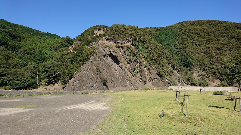 峰港