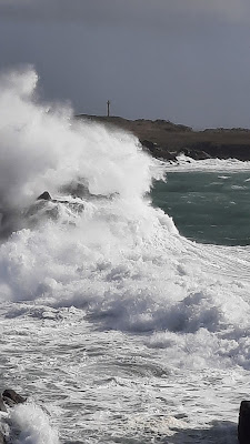 Éperon barré de la Pointe de Ker Daniau à L'Île-d'Yeu
