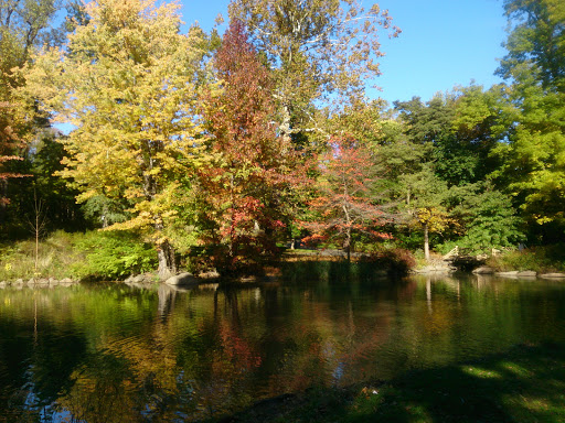 Park «The Loch», reviews and photos, Central Park West, New York, NY 10026, USA