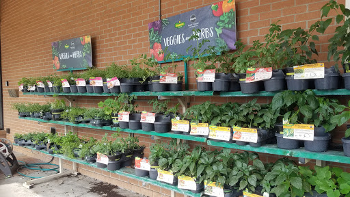 Department Store «T.J. Maxx», reviews and photos, 7326 Gall Blvd, Zephyrhills, FL 33541, USA