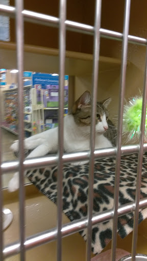 Pet Supply Store «PetSmart», reviews and photos, 300 N Congress Ave, Lake Park, FL 33403, USA