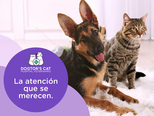 Opiniones de Dogtor's Cat Hospital Veterinario en Quito - Veterinario