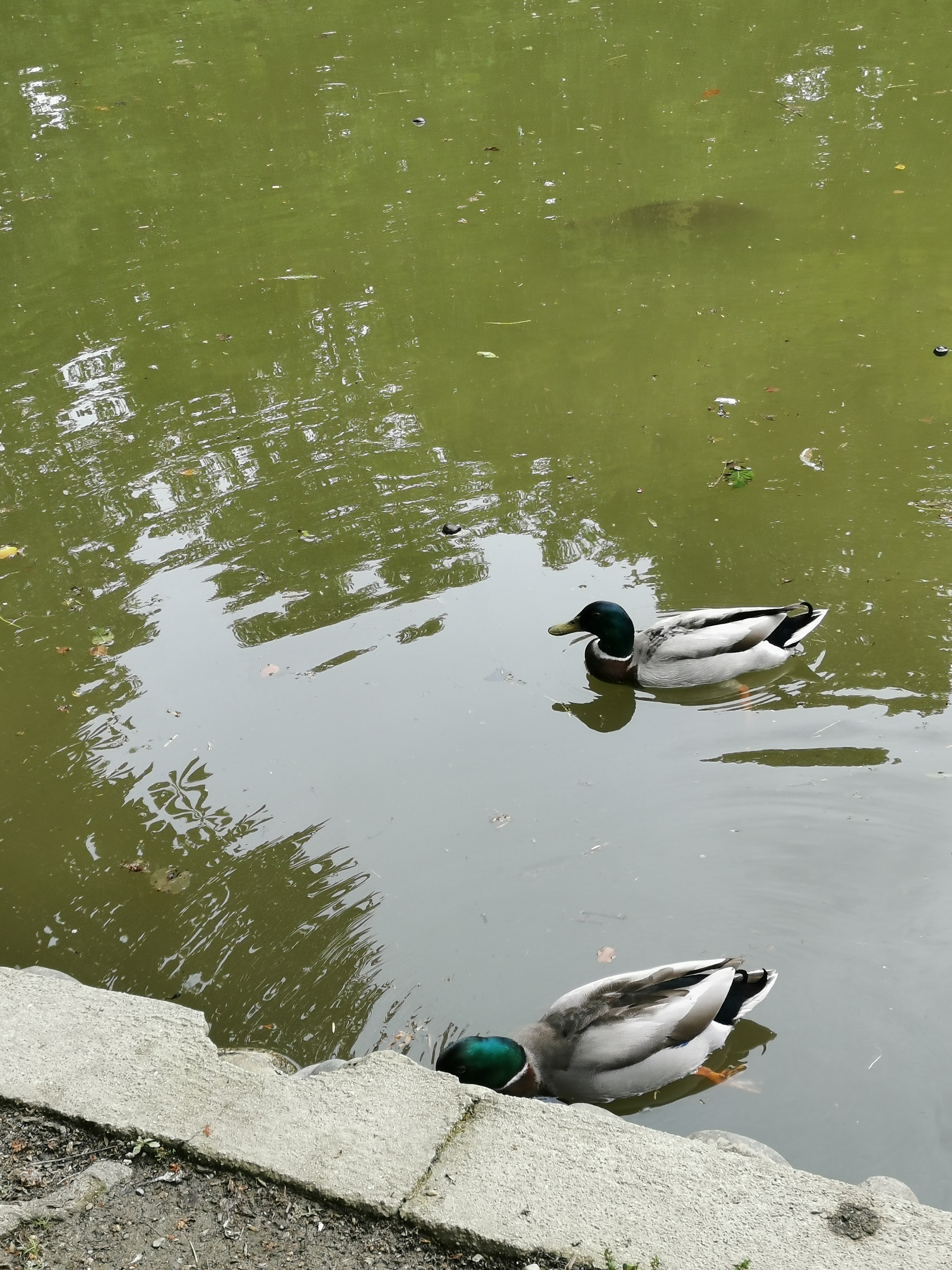 Photo n° 7 de l'avis de veronique.a fait le 26/05/2021 à 15:49