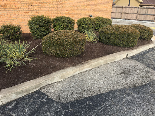 Oil Change Service «Jiffy Lube», reviews and photos, 15849 Manchester Rd, Ellisville, MO 63011, USA