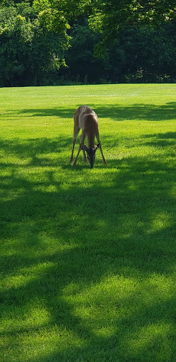 Golf Course «Woodruff Golf Course», reviews and photos, 621 Gougar Rd, Joliet, IL 60432, USA