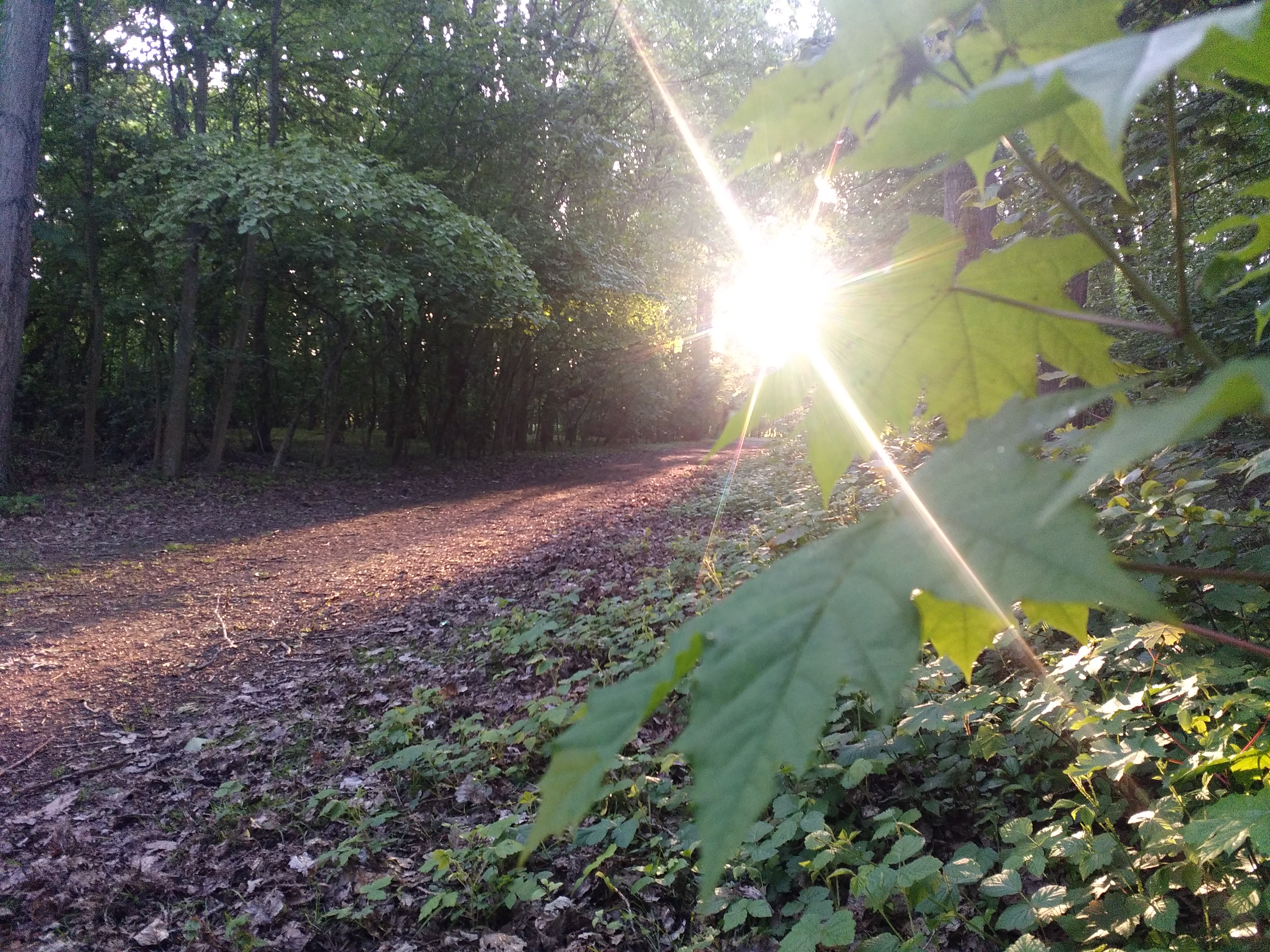 Photo n° 1 de l'avis de Ilias.e fait le 07/06/2019 à 09:37