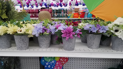 Discount Store «99 Cents Only Stores», reviews and photos, 3600 Klose Way, Richmond, CA 94806, USA