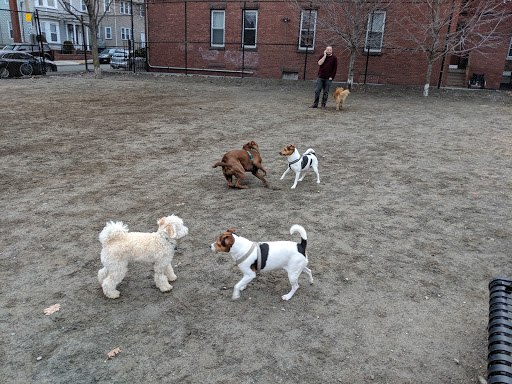 Park «Nunziato Field Dog Park», reviews and photos, Putnam St, Somerville, MA 02143, USA