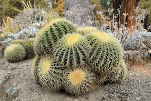 Arizona Garden image