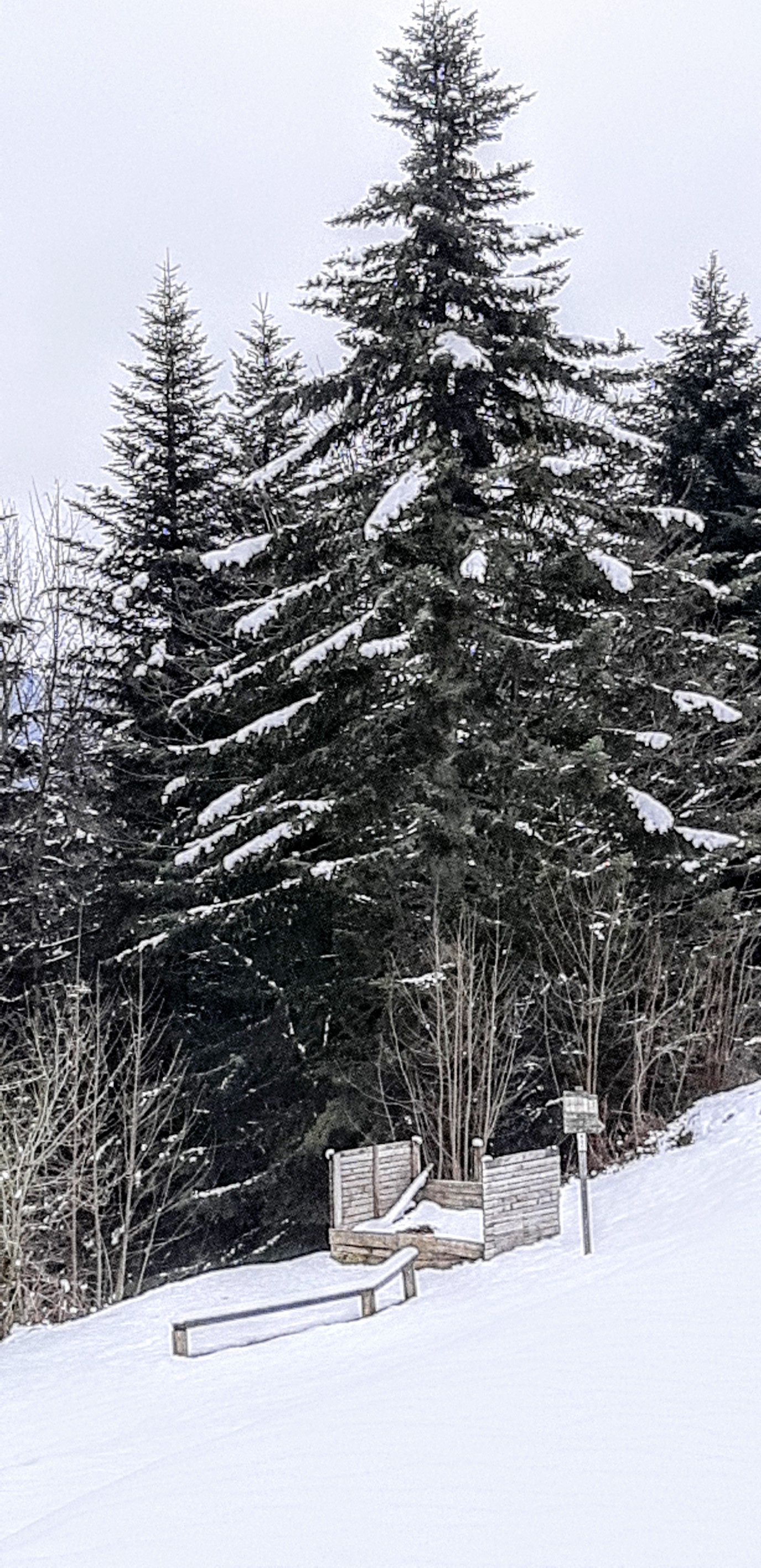 Photo n° 8 de l'avis de betty.o fait le 14/04/2019 à 10:33