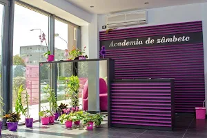Academia de Zambete by Dr. Sofrone-Petre Raluca image