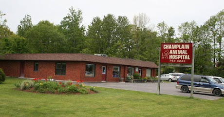 Champlain Animal Hospital