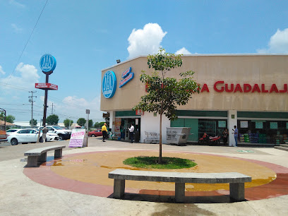 Farmacia Guadalajara, Parques Del Castillo