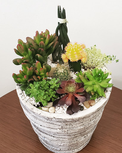 Florist «Freesia Dallas Florist», reviews and photos, 3160 Commonwealth Dr #130, Dallas, TX 75247, USA