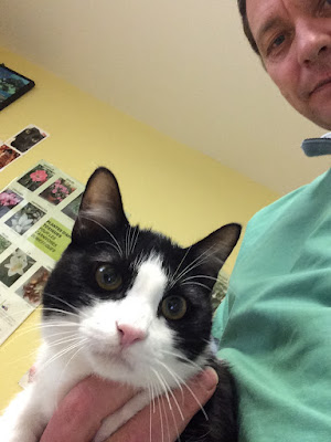 Clinique Veterinaire Du Parc à Colomiers