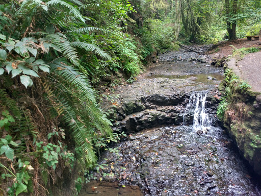 Park «MacLeay Park Entrance», reviews and photos, 2960 NW Upshur St, Portland, OR 97210, USA