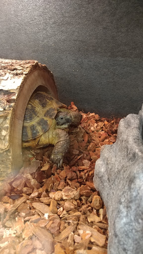 Pet Supply Store «PetSmart», reviews and photos, 3210 E Lynn Blvd, Sterling, IL 61081, USA