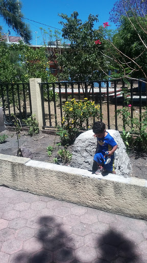 Dog Park «Hazeldale Park/ Dog park», reviews and photos, SW Farmington Rd, Aloha, OR 97007, USA