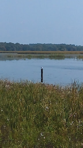 National Reserve «Montezuma National Wildlife Refuge», reviews and photos, 3395 US-20, Seneca Falls, NY 13148, USA