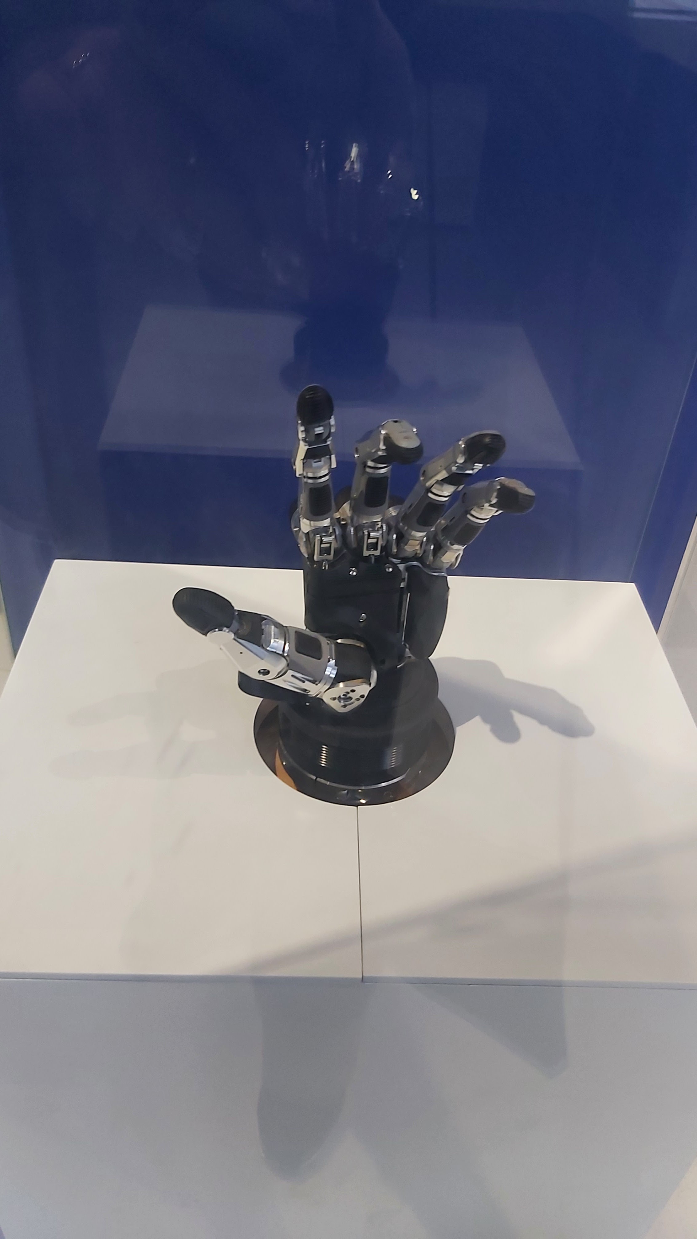 Photo n° 15 de l'avis de Celine.e fait le 27/01/2024 à 14:49