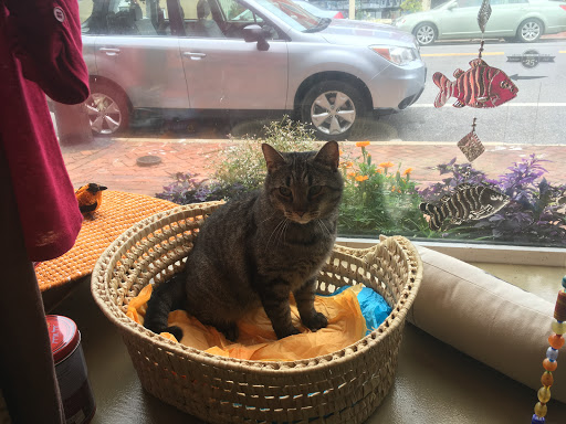 Gift Shop «Twigs & Teacups», reviews and photos, 111 S Cross St, Chestertown, MD 21620, USA