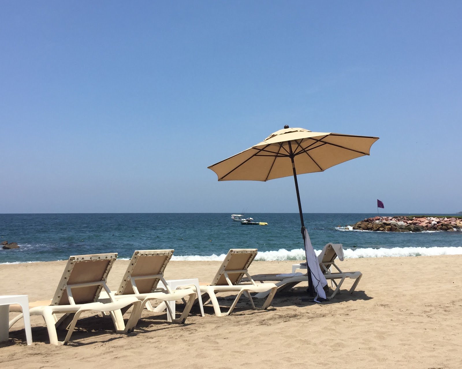 Bucecuas Nayarit photo #8