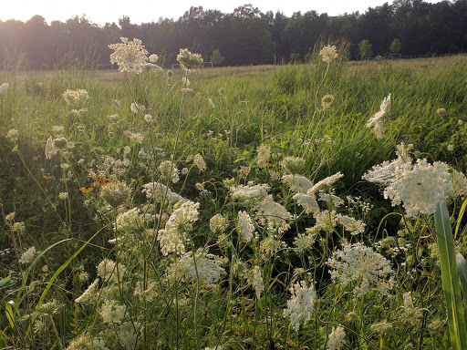 Nature Preserve «Creasey Mahan Nature Preserve», reviews and photos, 12501 Harmony Landing Rd, Goshen, KY 40026, USA