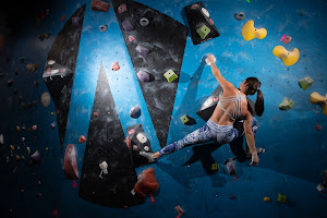 Wild Walls Climbing Gym