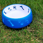 Photo n°4 de l'avis de Martin.r fait le 13/08/2020 à 15:13 sur le  Kleiner Cavalier à Cottbus