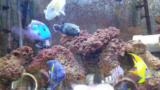 Park «Herrick Park», reviews and photos, Palisade Ave & Herrick Ave, Teaneck, NJ 07666, USA