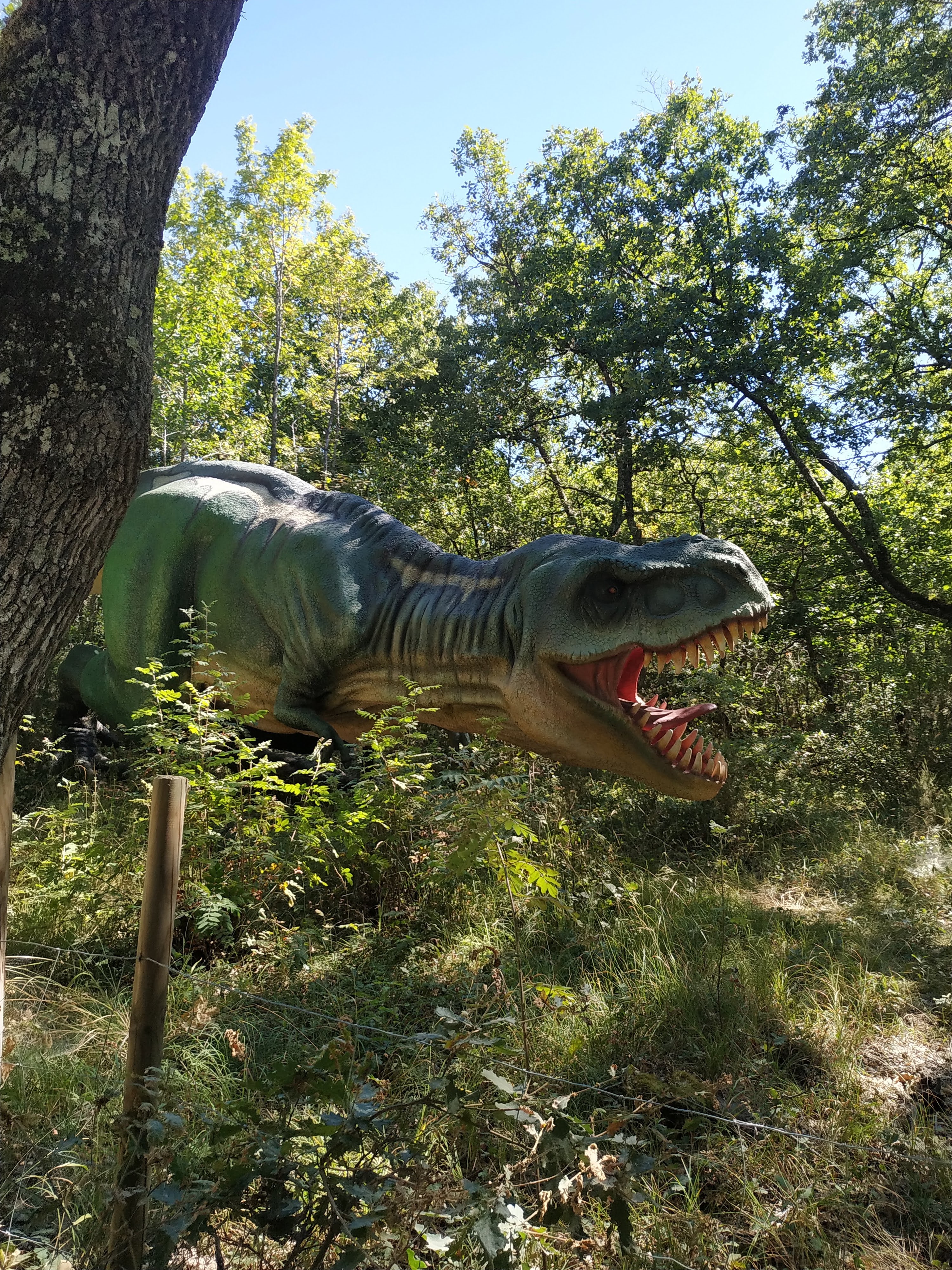 Photo n° 4 de l'avis de Noémie.a fait le 05/08/2020 à 14:49