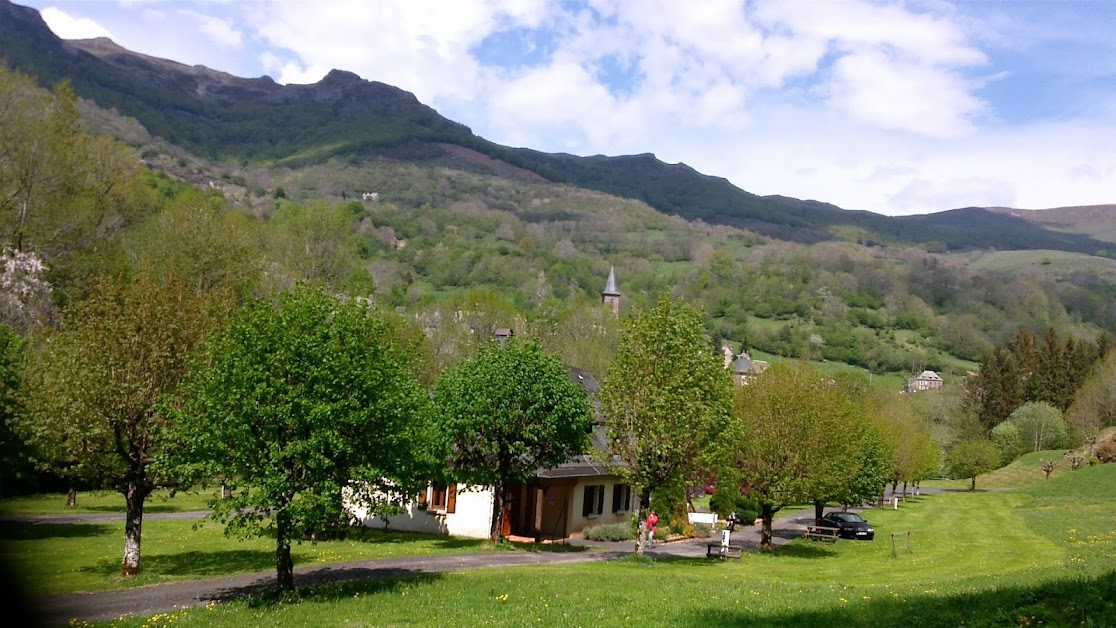 Camping, Le Falgoux à Le Falgoux (Cantal 15)