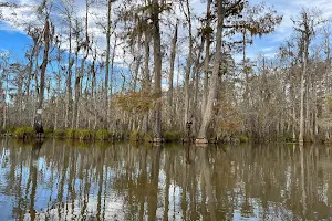 Pearl River Wildlife Management Area image