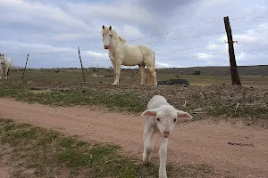 Wolwefontein MTB Trail image