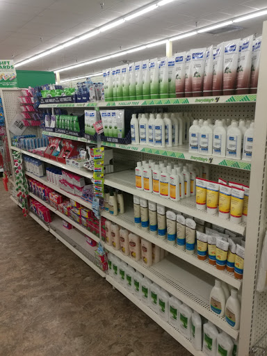 Dollar Store «Dollar Tree», reviews and photos, 6205 Coit Rd #200, Plano, TX 75024, USA