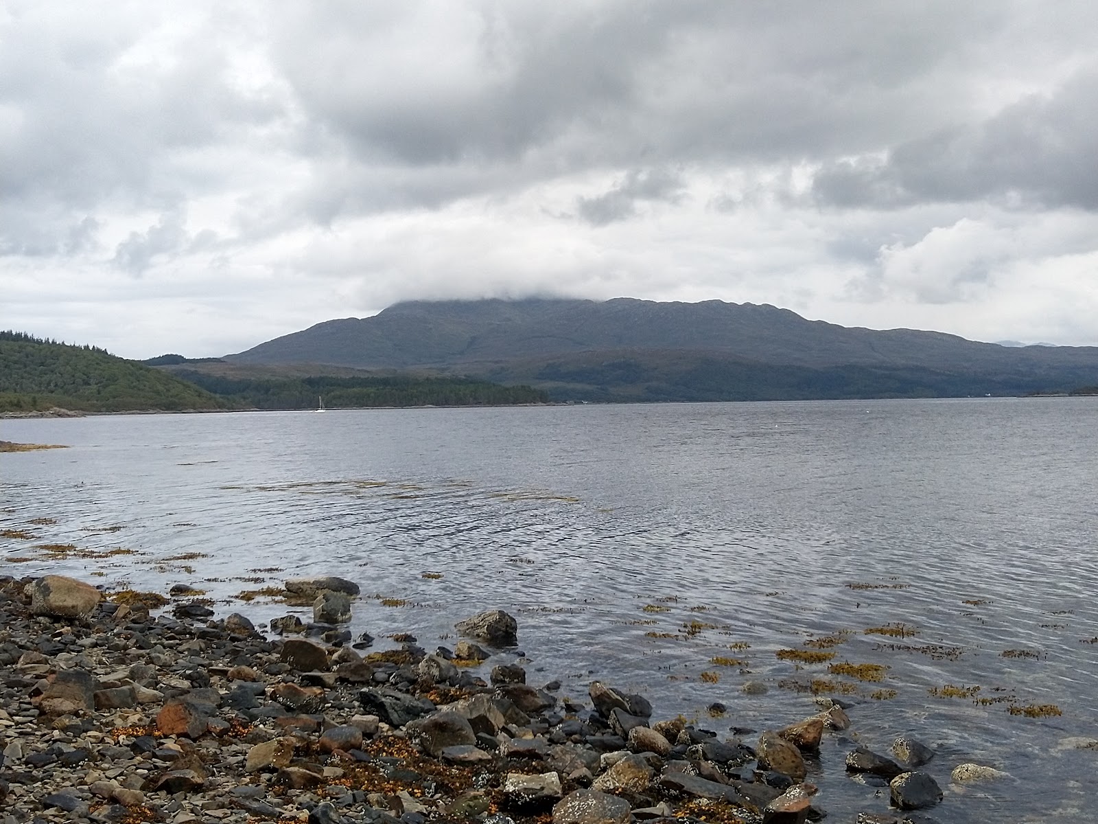 Photo of Salen Beach wild area